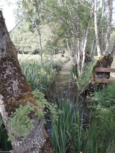 Apartamento Logis De Lange Apt Les Ecureuils