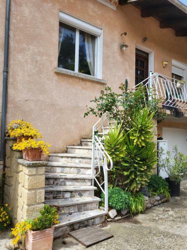 Maison Gros Pata