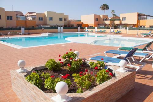 Anju Villas Los Delfines Bravo's Apartments