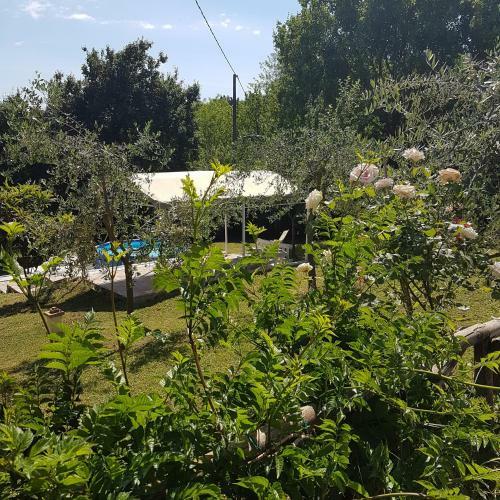 Bed & Breakfast L'albero Di Gamel�