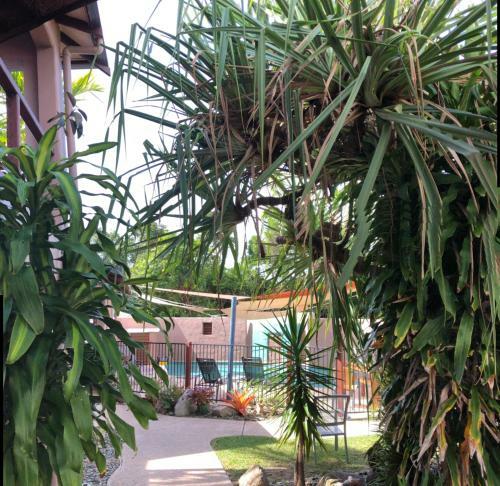 Pandanus Holiday Apartments