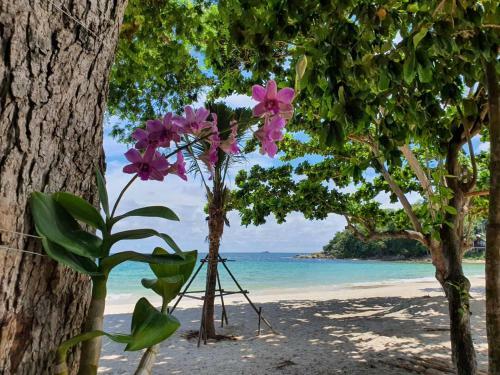 Hotel Blue Bay Bungalow