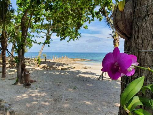 Hotel Blue Bay Bungalow