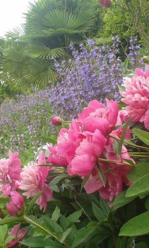 Hotel Albergo Ristorante Monterosa