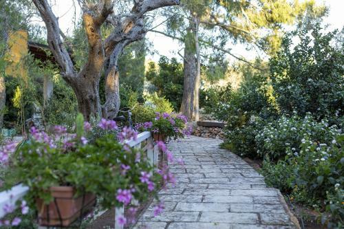 Agroturismo Il Villaggetto