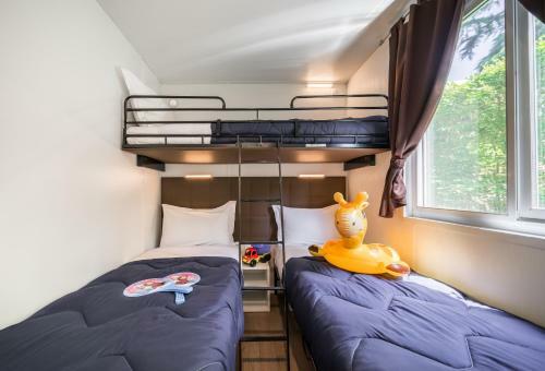 Camping Village Montescudaio