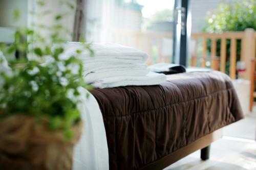 Camping Village Montescudaio