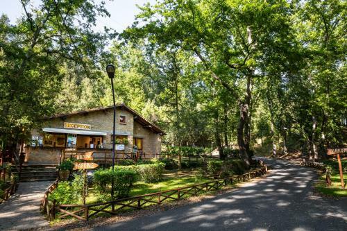 Camping Village Montescudaio