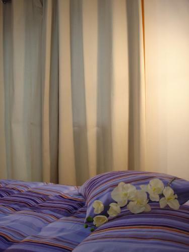 Hostal La Casa Di Linda