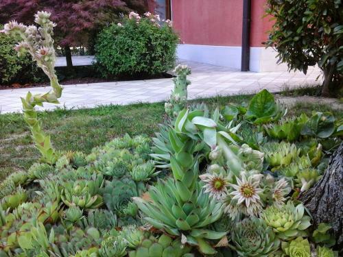 Hostal La Casa Di Linda