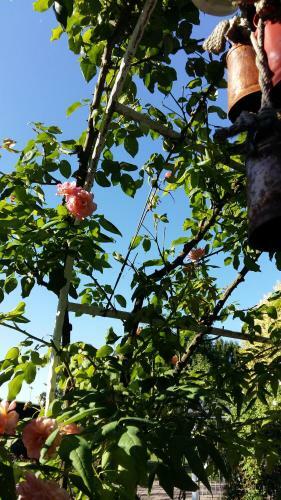 Hostal La Casa Di Linda