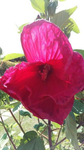 Hostal La Casa Di Linda