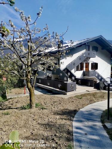 Bed & Breakfast B & B La Mela