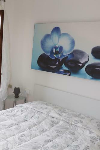 Chiocciola Venice B&B