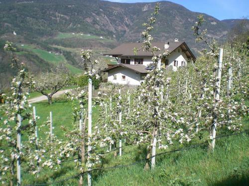 Agroturismo Schiedhof