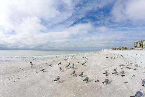 515 Madeira Norte Condo