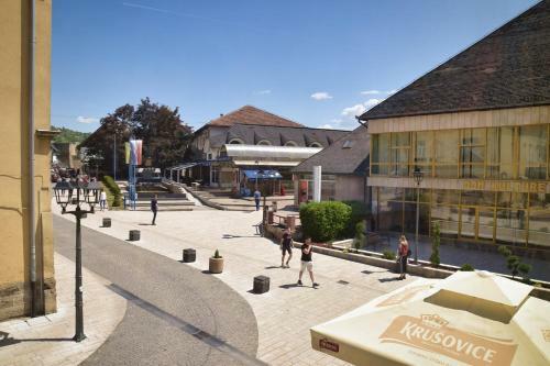 Apartman Vinkov's Center