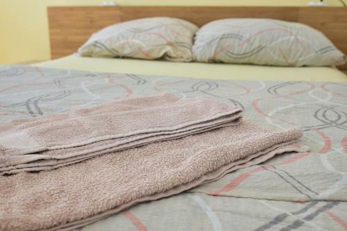 Apartman Vinkov's Center