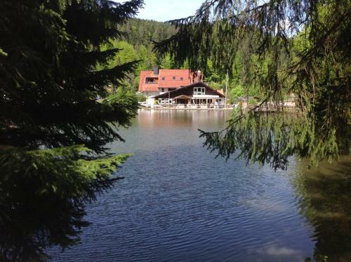 Hostal Pension & Apartments Am Bergsee