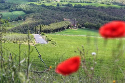 Bed & Breakfast Castello Di Belforte