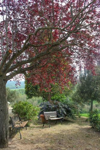 Bed & Breakfast Castello Di Belforte