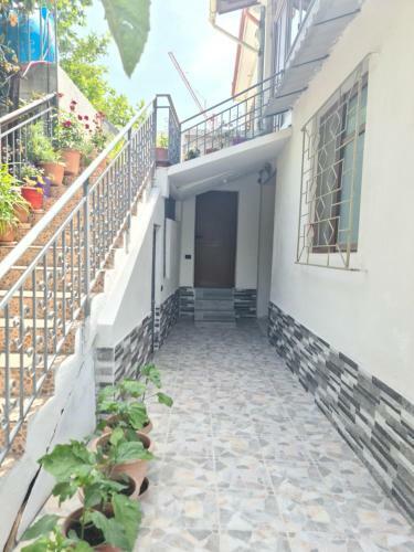 Apartamento D�j� Blue Guest House