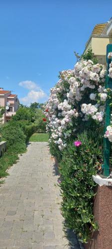 Apartamento Holiday Zaton Nin