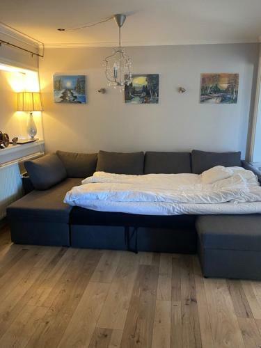 Luxus Apartment Byggdarhorn