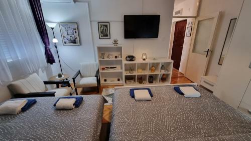 Apartman Savina