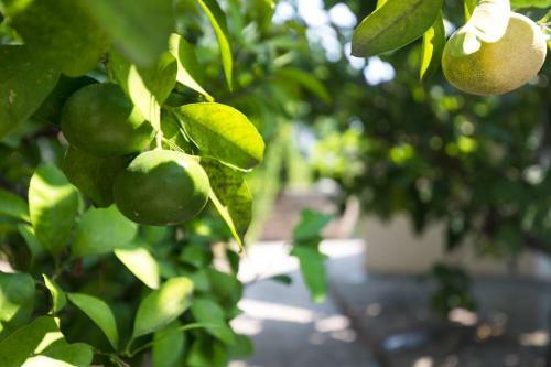 Apartamentos Eden 4* Family Suite