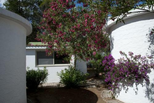 Villaggio Capo Vieste