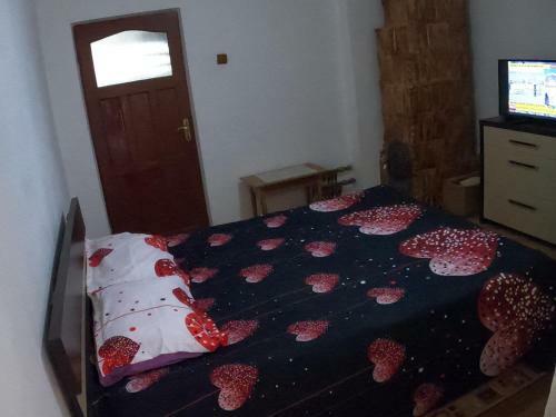 Hostal Pensiunea Casa Eliza Maria