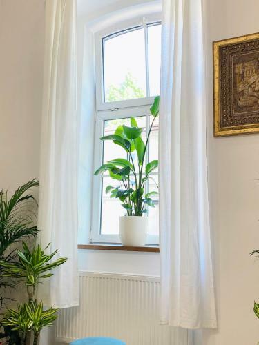 Apartamento Artsy Central Loft