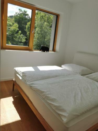 Apartment 191