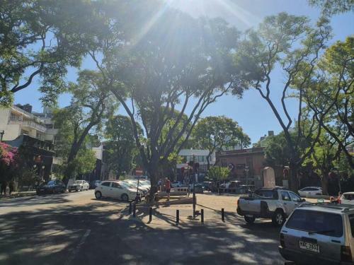 Agradable Y Bien Ubicado Duplex En Punta Carretas