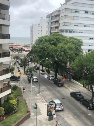 Apartamento En El Mejor Barrio, Pet Friendly!