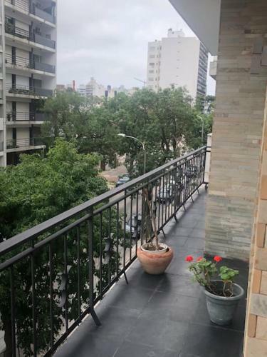 Apartamento En El Mejor Barrio, Pet Friendly!