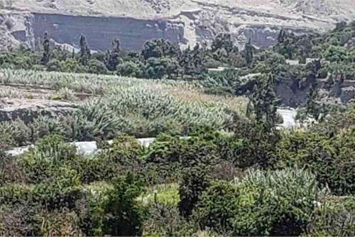 Lunahuana Casa De Campo La Huerta