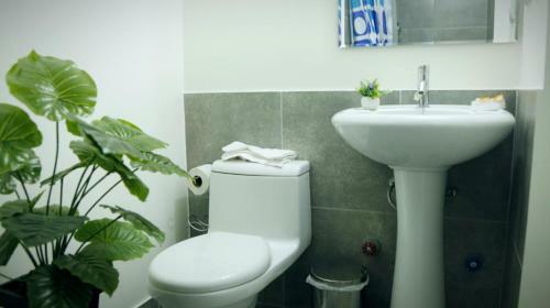 Brand New Apartment, With Excellent Location