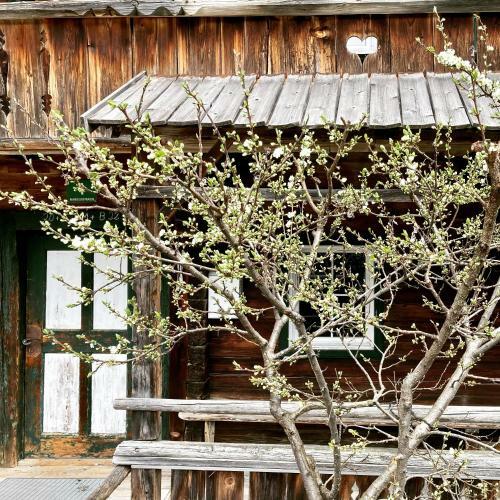 Berghaus Wiesegg - Uriges Tiroler Bauernhaus
