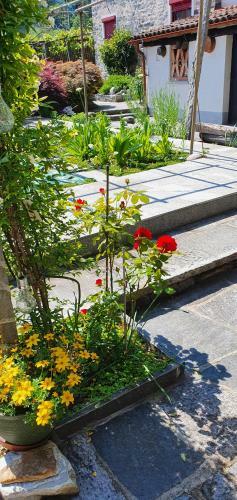 Apartamento Losone: Casa L�ssi
