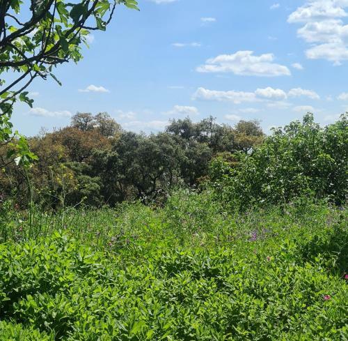 Apartamento Loft Rural La Era 1