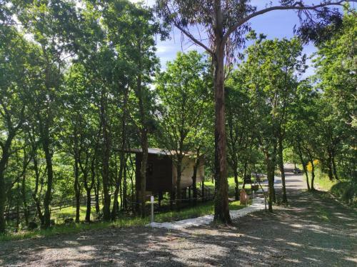 Caba�as Mirador De �zaro