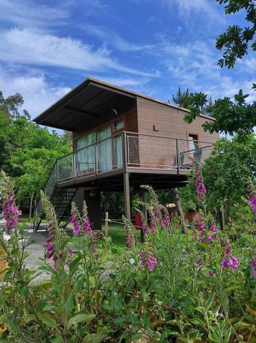 Caba�as Mirador De �zaro