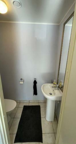 Sunny 3-bdrm Townhouse With 2 Sundecks & Sauna