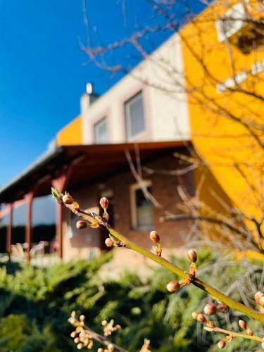 Gabi H�z Apartmanok*** Hajd�szoboszl�