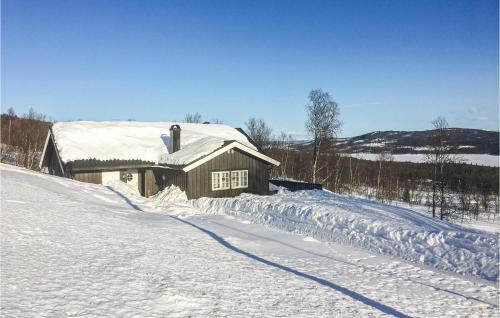 Stunning Home In Hemsedal W/ 3 Bedrooms