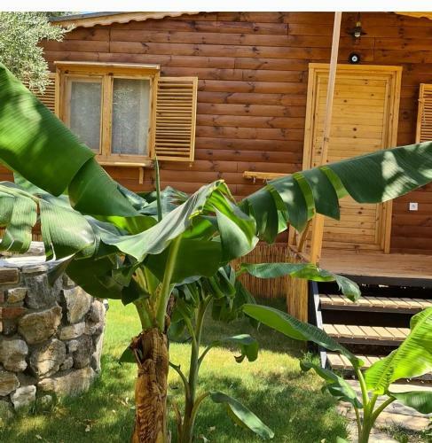 Apartamento Derin Ta?-bungalow