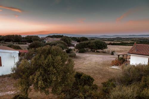 Agroturismo Agriturismo Nuraghe Tuttusoni