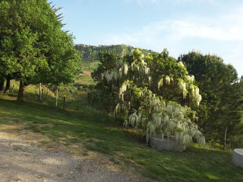 Agroturismo Giardino Donna Lavia
